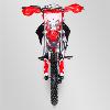 Motocross (DMZ 150) APOLLO Motors 