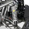 Quad (prédator 125cc) Sano APOLLO Motors 