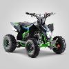 Quad 110cc (FOX vert 2020) APOLLO Motors
