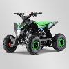 Quad 110cc (FOX vert 2020) APOLLO Motors