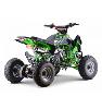 Quad Speebird vert (110cc) KEROX