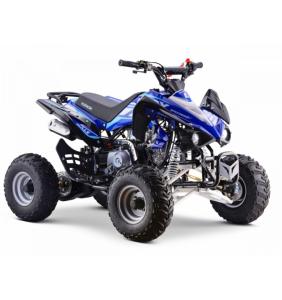 Quad Speebird bleu (110cc) KEROX