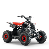 Quad (Cobra 110cc) rouge Sano APOLLO Motors 