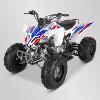 Quad (prédator 250cc) Sano APOLLO Motors 