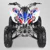 Quad (prédator 250cc) Sano APOLLO Motors 