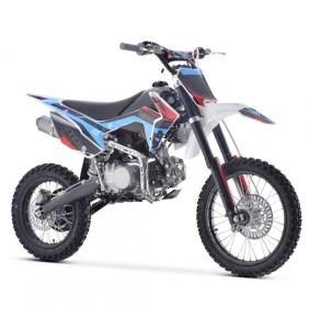 Pit-Bike ( 125BS C 12/14) BASTOS