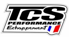 Logo TCS