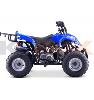 Quad Raptor bleu (110cc) KEROX