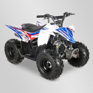 Quad (prédator 110cc) Sano APOLLO Motors 