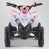 Pocket quad 49cc ( Cobra 6 rose ) APOLLO