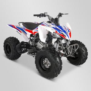 Quad (prédator 250cc) Sano APOLLO Motors 