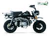 Moto 125cc Euro4 (MONKEY noir) SKYTEAM